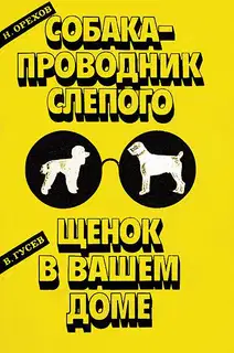 Собака-проводник слепого