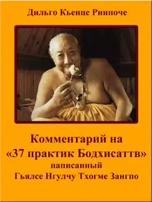Комментарий на «37 практик Бодхисаттв»