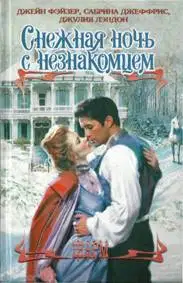 Снежная ночь с незнакомцем
