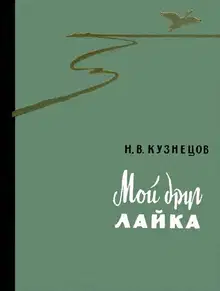 Мой друг лайка