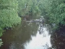 Мокрое стихотворение