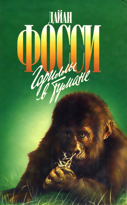 Гориллы в тумане