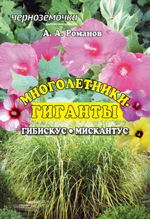 Многолетники-гиганты: Гибискус. Мискантус