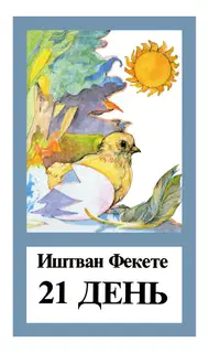21 день
