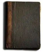 Невеста лорда (СИ)