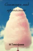 Снижаясь над пропастью (СИ)