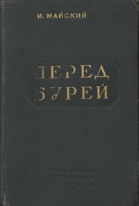 Перед бурей