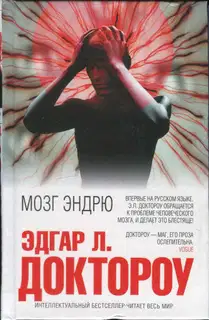 Мозг Эндрю