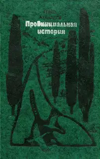 Провинциальная история