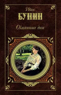 Жизнь Арсеньева. Юность