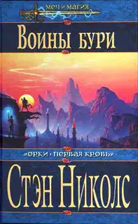 Воины Бури