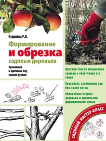 Формирование и обрезка садовых деревьев