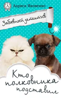 Кто полковника подставил