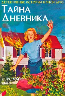 Тайна дневника