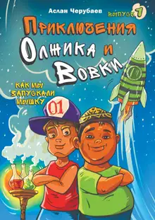 Приключения Олжика и Вовки. Как мы запускали мышку