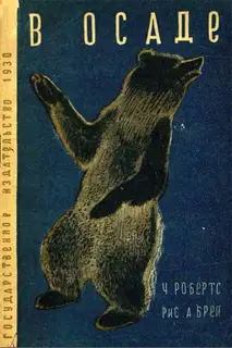 В осаде