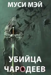 Убийца чародеев