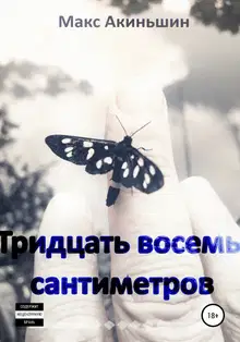 Тридцать восемь сантиметров