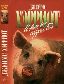 И всех их создал Бог