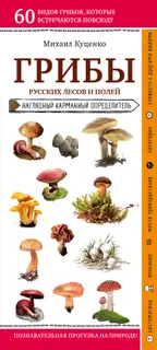 Грибы русских лесов и полей