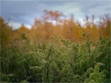 Не нужно спешить