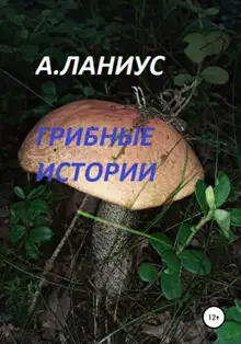 Грибные истории