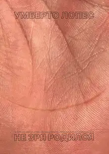 Не зря родился. Сборник