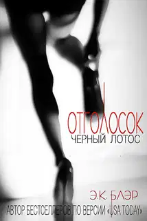 Отголосок