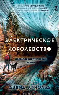 Электрическое королевство
