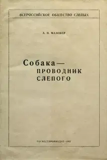 Собака-проводник слепого