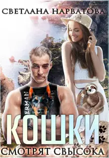 Кошки смотрят свысока