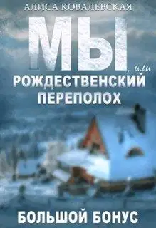 Мы, или Рождественский переполох