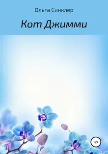 Кот Джимми