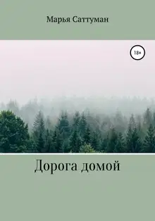 Дорога домой