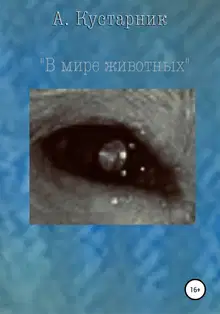 В мире животных