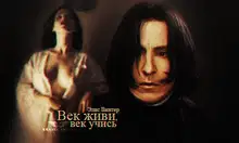 Век живи, век учись (СИ)