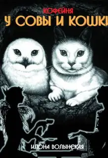 Кофейня Совы и Кошки