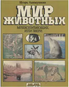 Мир животных: Млекопитающие, или звери