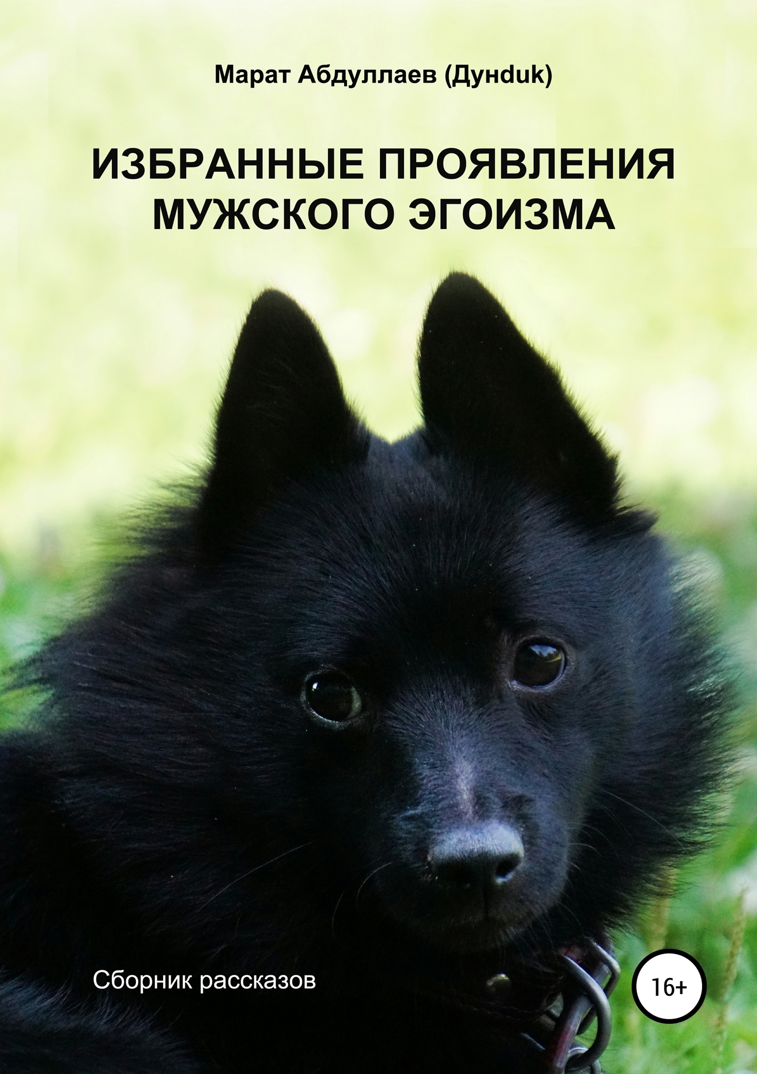 Избранные проявления мужского эгоизма. Сборник рассказов