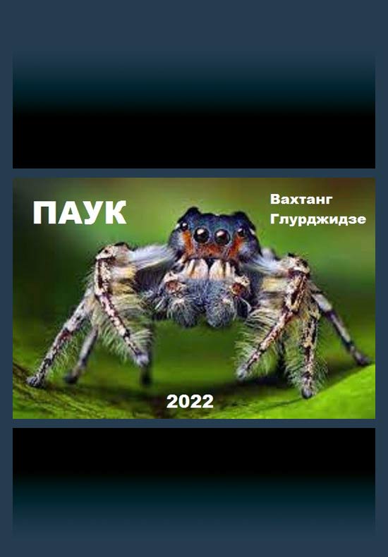 Паук 1