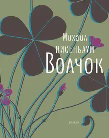 Волчок