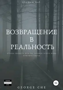 Возвращение в реальность
