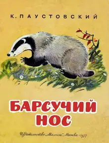 Барсучий нос