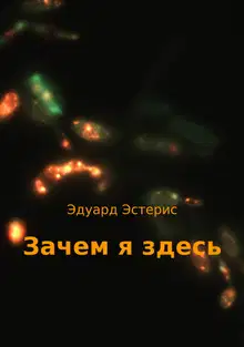 Зачем я здесь