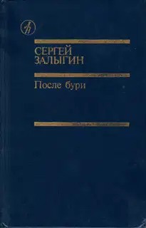 После бури. Книга вторая