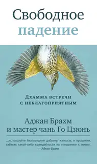 Свободное падение. Дхамма встречи с неблагоприятным