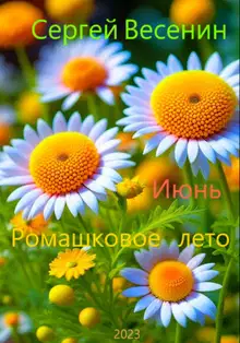 Ромашковое лето
