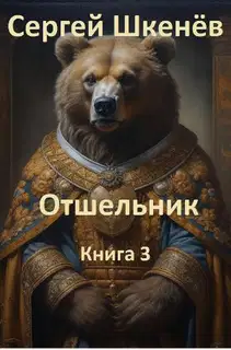 Отшельник Книга 3