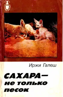 Сахара — не только песок