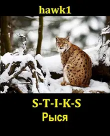 Рыся